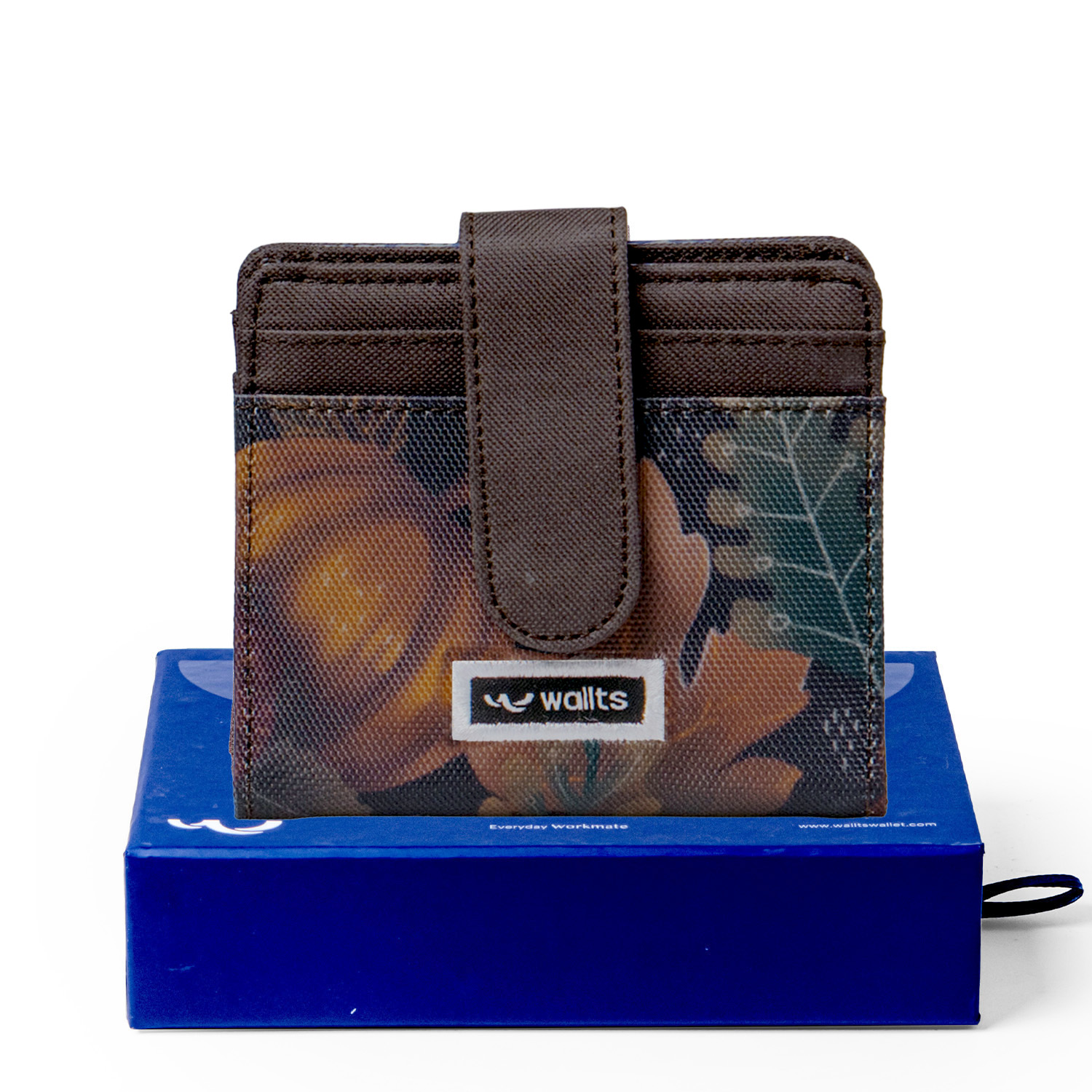 catalog melo autumn4