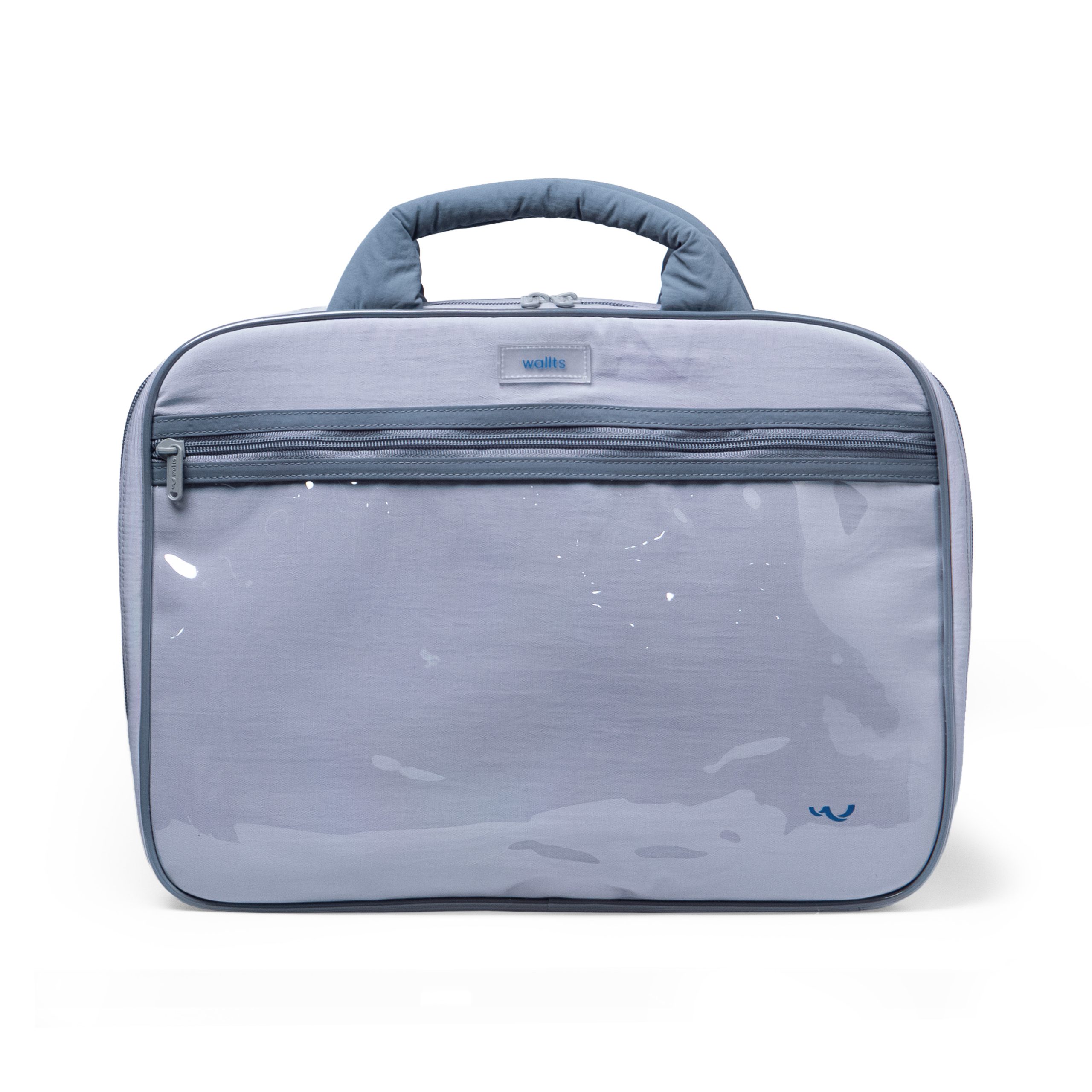 catalog airy blueberry1